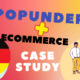 ecommerce case study