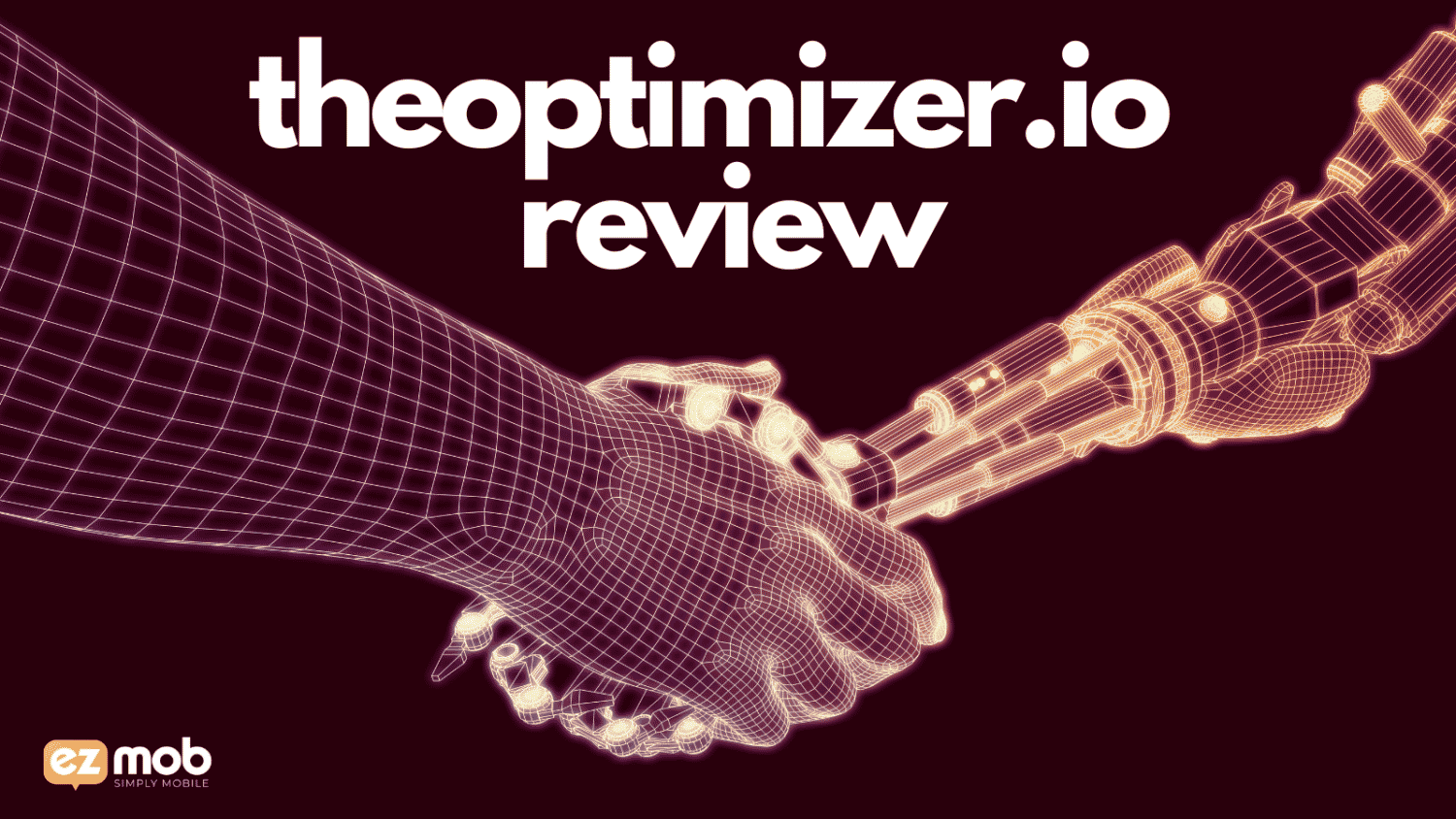 theoptimizer-product-review