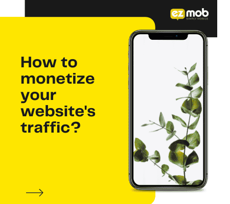 monetize-website-traffic