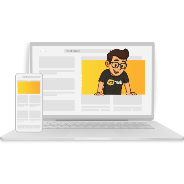 In-Stream Video